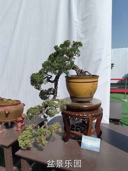 IMG_20230501_091738.jpg