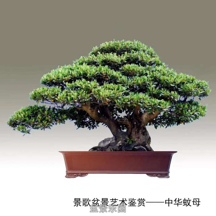 ʮ귢辰 112