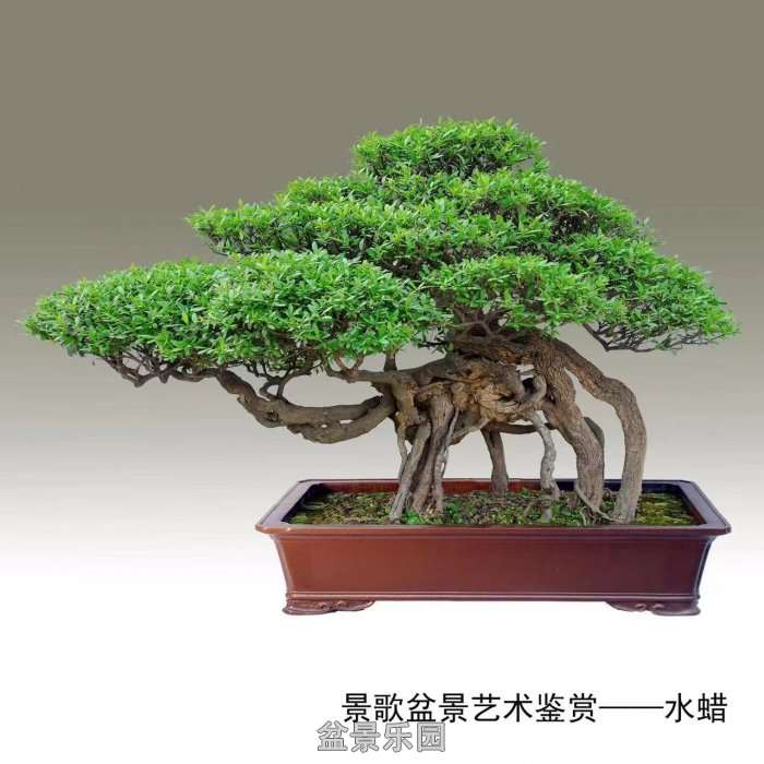 ʮ귢辰 113
