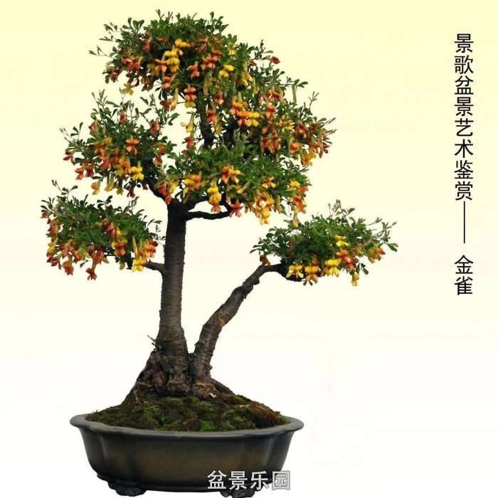 ʮ귢辰 116