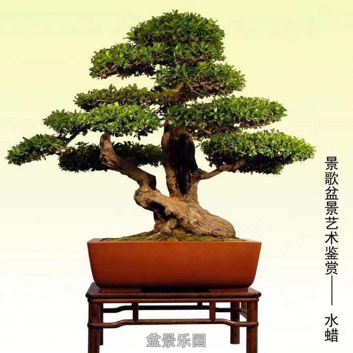 ʮ귢辰 119