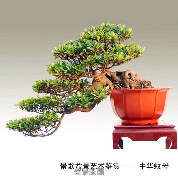ʮ귢辰 121