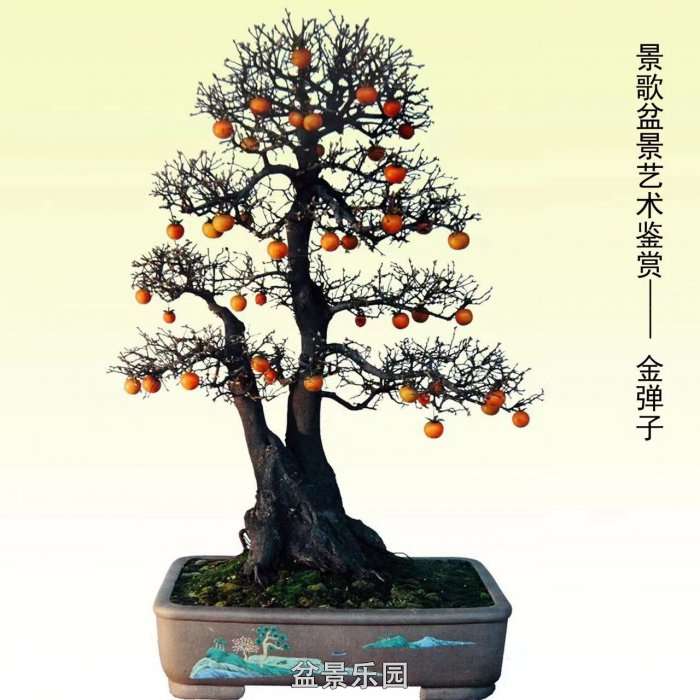 ʮ귢辰 123