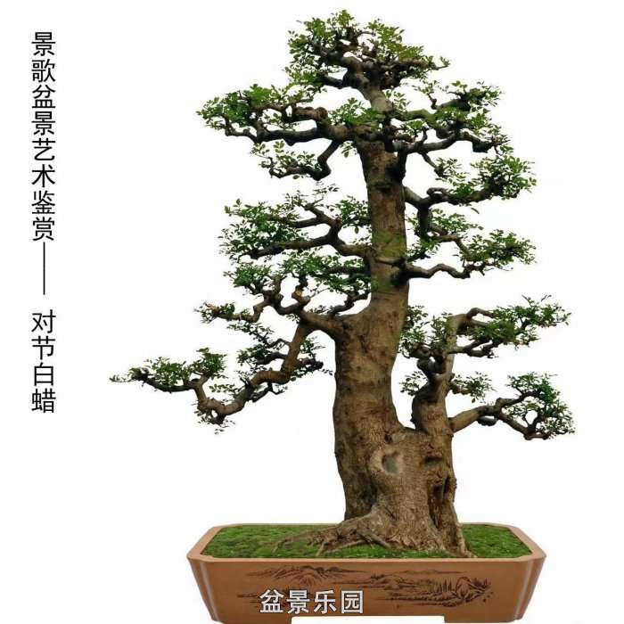 ʮ귢辰 124