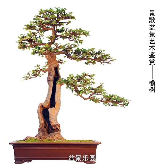 ʮ귢辰 125