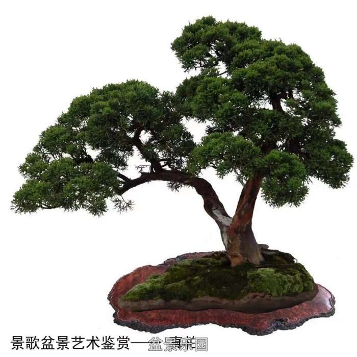 ʮ귢辰 127