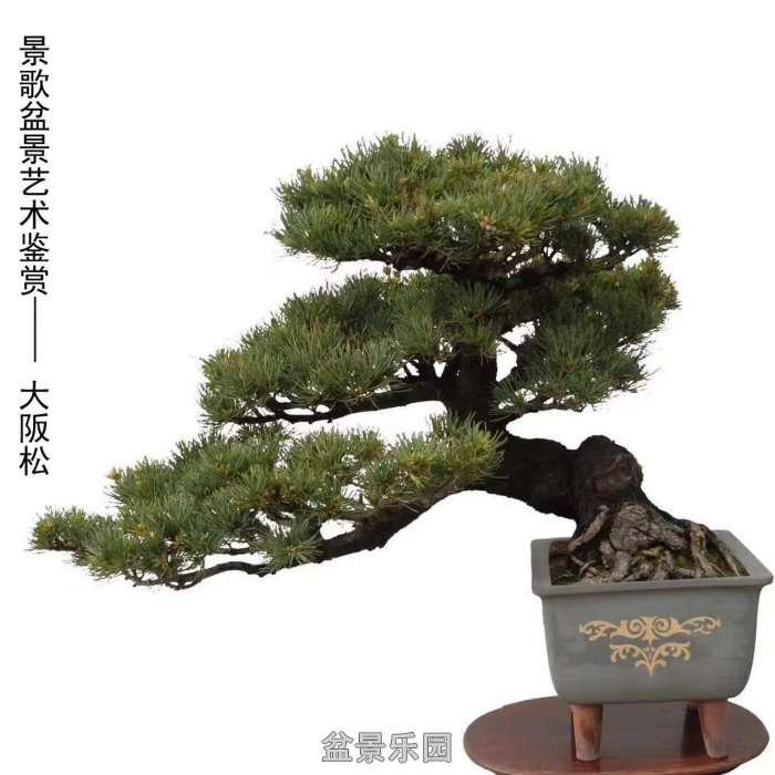 ʮ귢辰 128