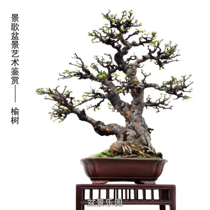 ʮ귢辰 129