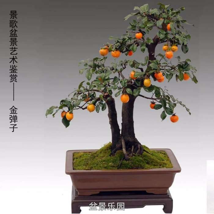 ʮ귢辰 130