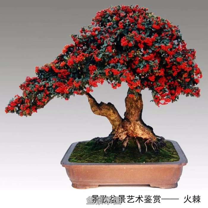 ʮ귢辰 131