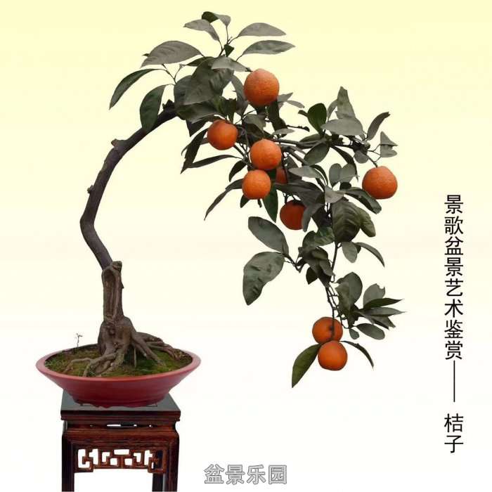 ʮ귢辰 132
