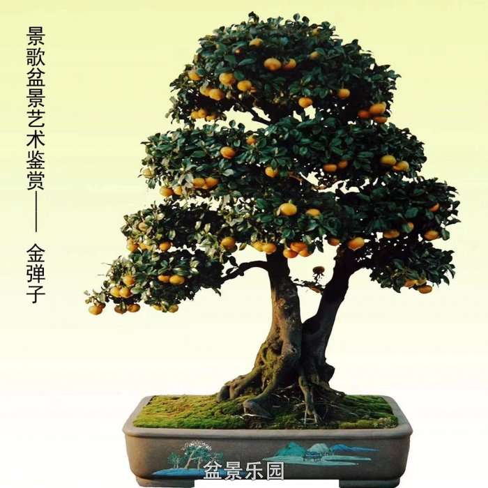 ʮ귢辰 133