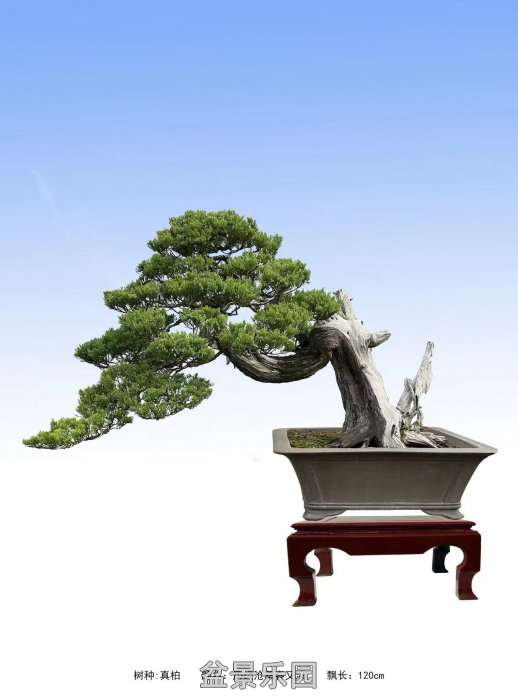 ʮ귢辰 143