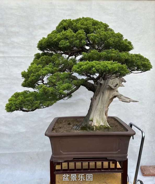 ʮ귢辰 145