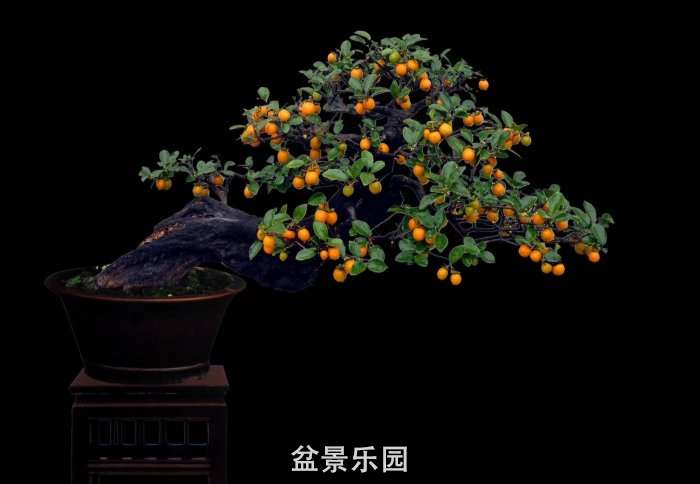 ʮ귢辰 149