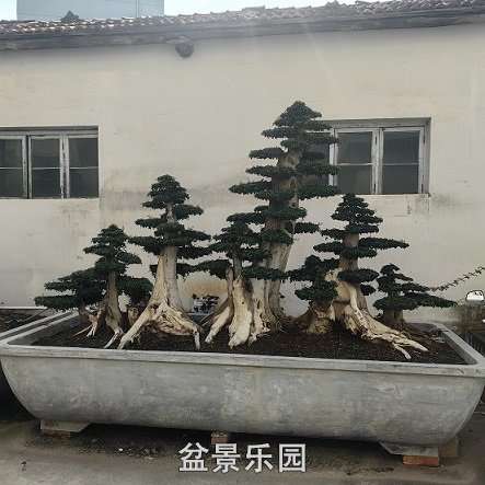 Тд辰 1