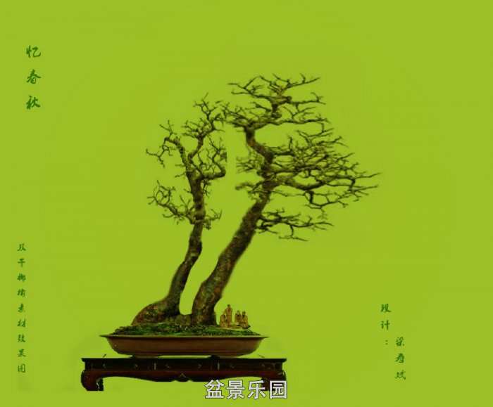Ⱦͼ