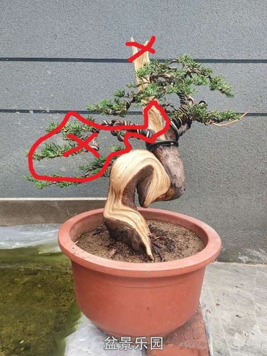 091332p8ccvc6cj88j38dg.jpg.thumb.jpg