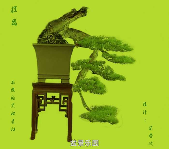 Ⱦͼ