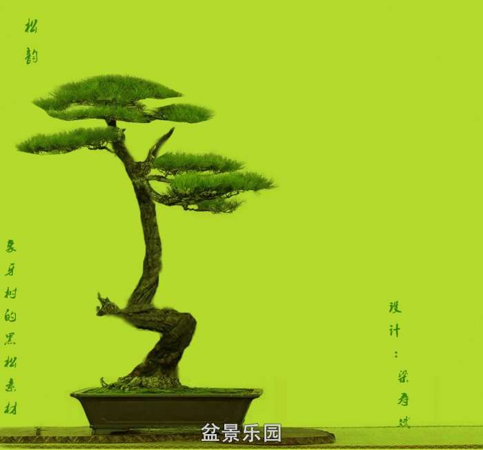 Ⱦͼ