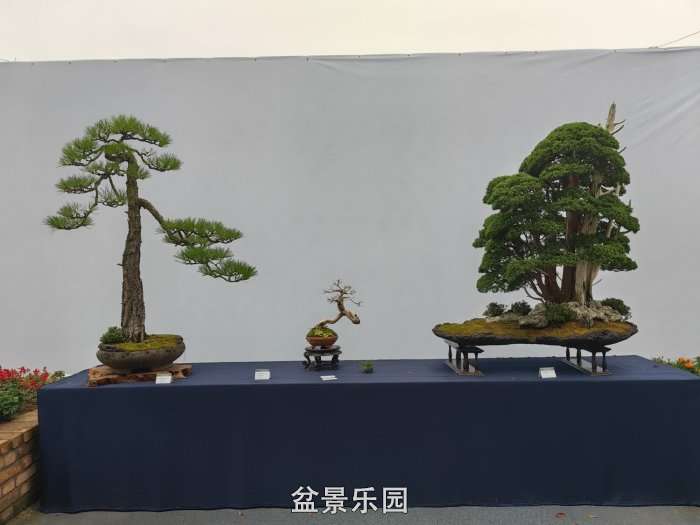 й辰չƷѡ 11