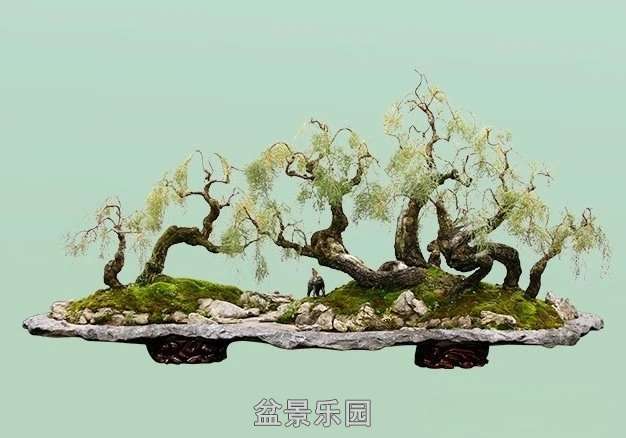 辰 4