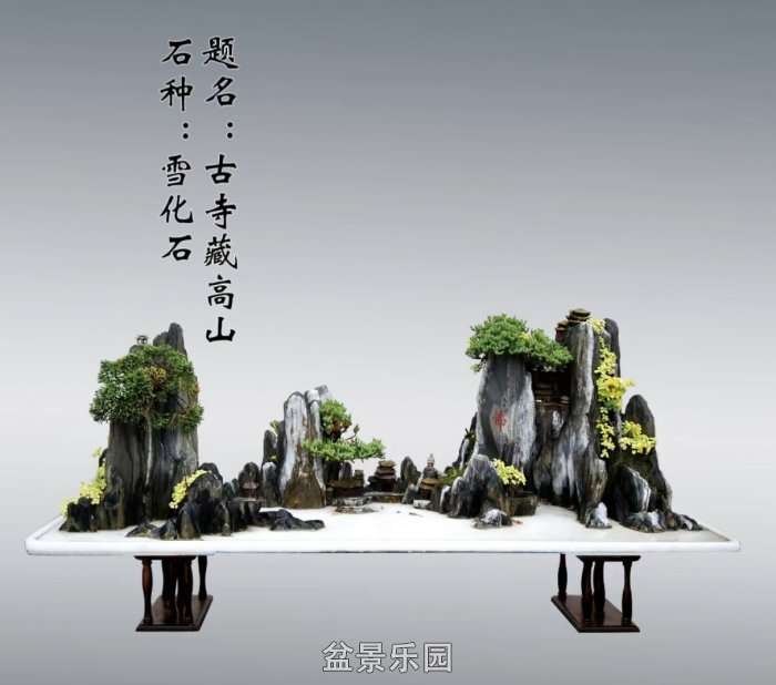 Screenshot_20250422_082131_com.tencent.mm_edit_71.jpg