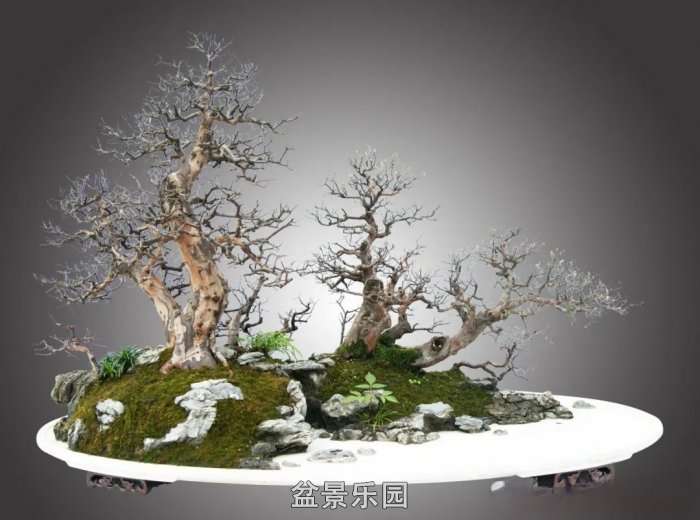 mmexport9e734cbc28b954fd0c698ffe74b1fffa_17468897.jpg