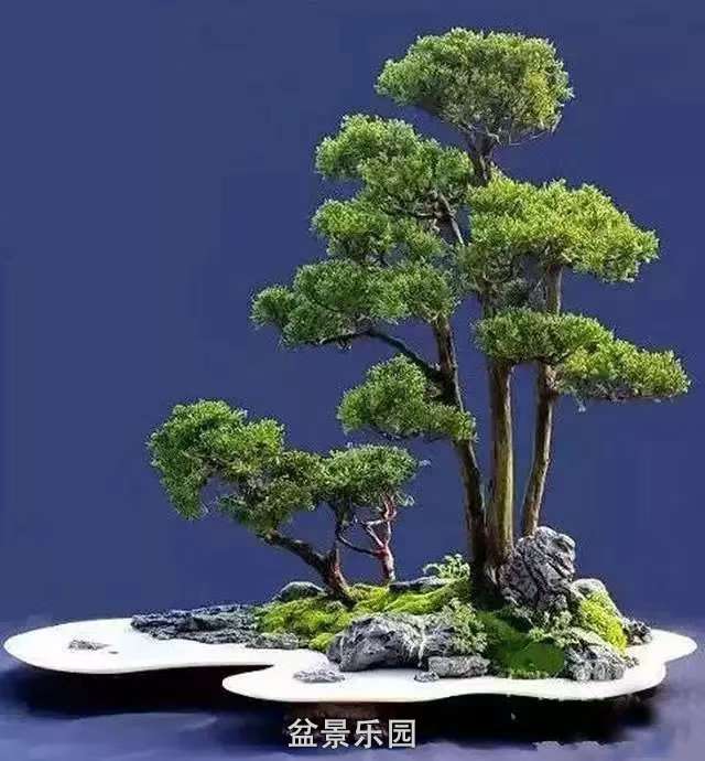 ˮ辰 4