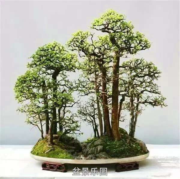 ˮ辰 6