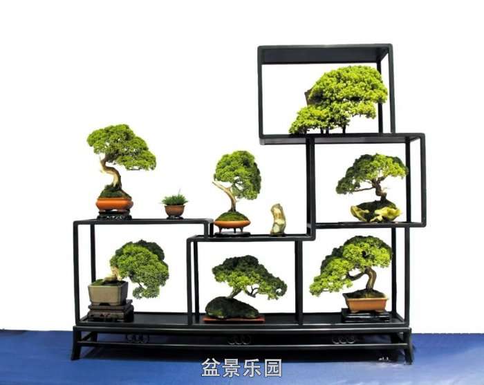 mmexport3b107b24a8dea4a8b290e84bdd42edeb_17522173.jpg