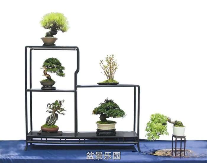 mmexport73a1401c2029f1a59dbe0d3868715dbc_17522172.jpg