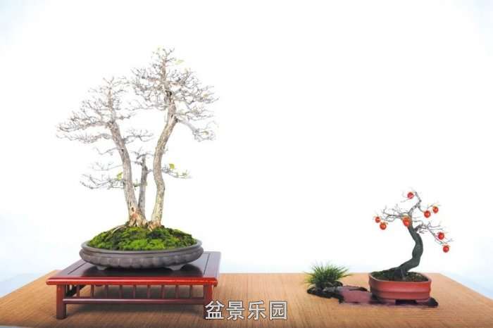 mmexport807cdebef4cb0a93416d96b15e86e36f_17522174.jpg