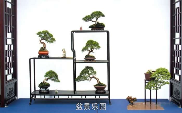mmexport27158dab0c5aa0ff822d5e998a7f3cfb_17528872.jpg