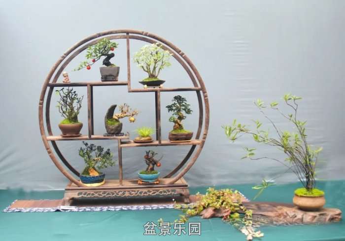 mmexport88ce8c9d8d2b425c634e36445f1a8a6b_17534895.jpg