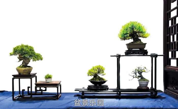 mmexportdce10dea995d5506a65b9682247dba1d_17522173.jpg