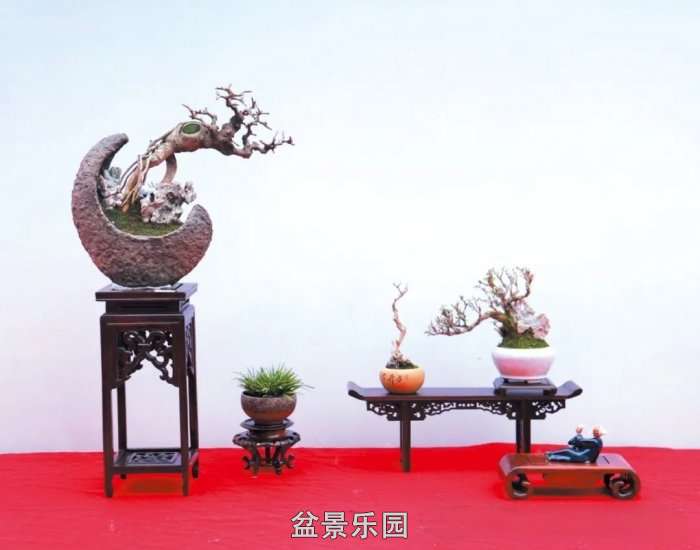 mmexport86275be9f0b633e0446876f4f7af8054_17522174.jpg
