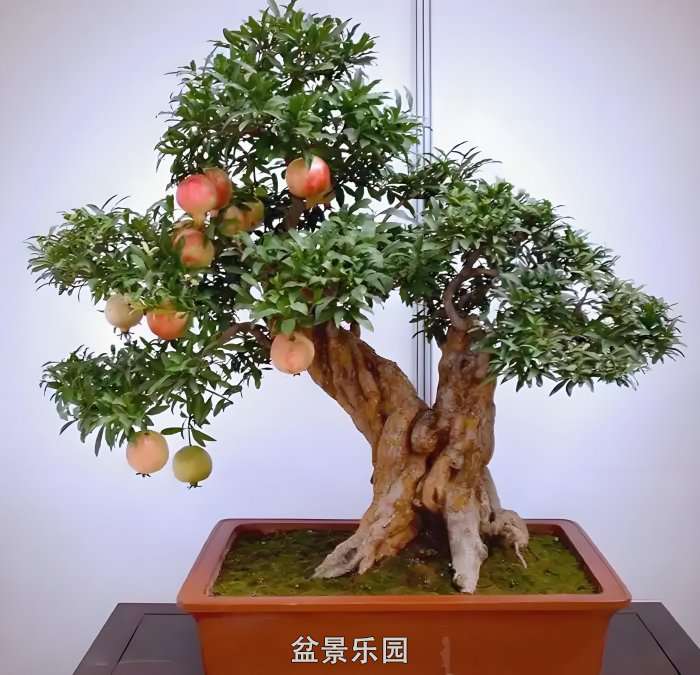 1755155896731.jpg