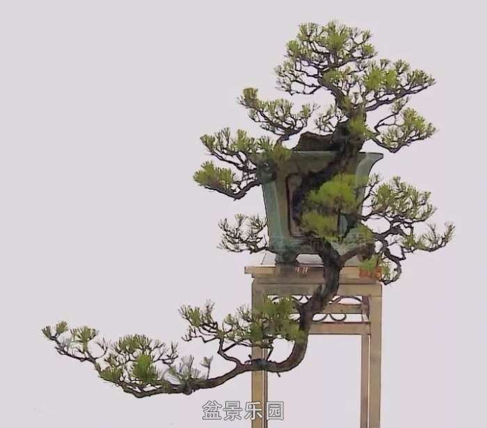 mmexport912d84e3033f72c3eae14f53bb67626f_1753526.jpeg