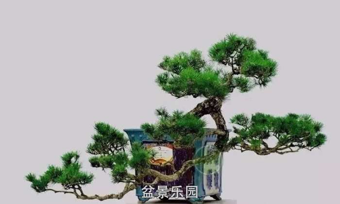 mmexport5a0b16b21223b2f3b243e160b2644174_1753526.jpeg