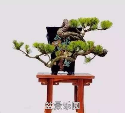 mmexport6a688deb1e5baad5e380d1bb4fac4e90_1753526.jpeg