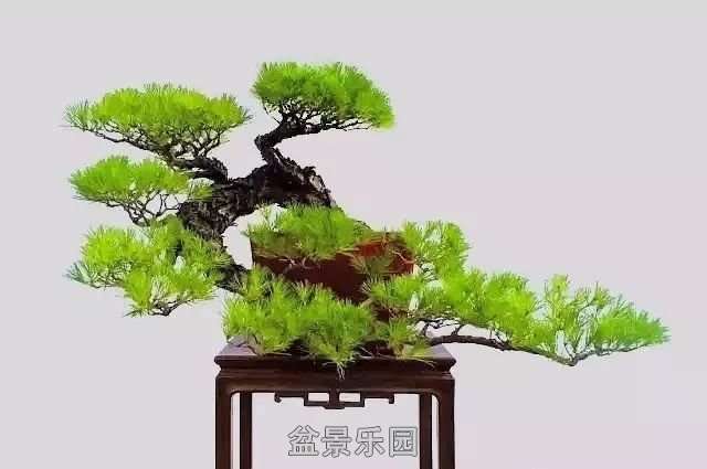 mmexportd9b5b3236d345c441410a73a88f0b529_1753526.jpeg
