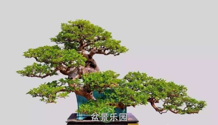 mmexport3b1cf4dd479ab1bb5560db07e38b6def_1753526.jpeg