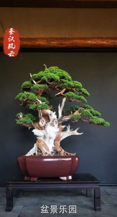辰 6