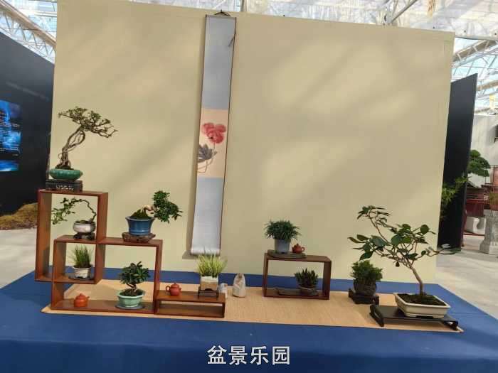 2025�����й��辰���龭��СƷչ��Ʒȫ�� 5