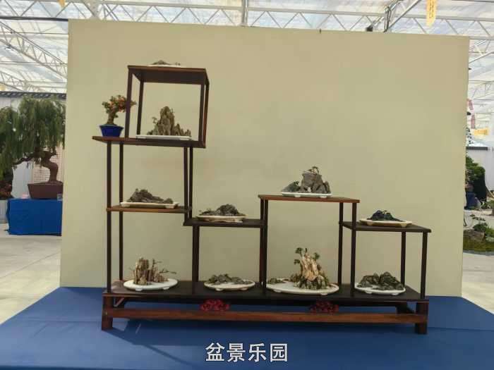 2025�����й��辰���龭��СƷչ��Ʒȫ�� 13