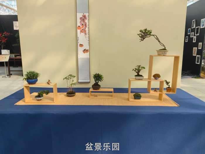 2025�����й��辰���龭��СƷչ��Ʒȫ�� 14