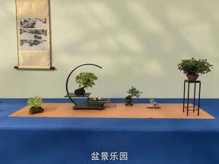 2025�����й��辰���龭��СƷչ��Ʒȫ�� 15