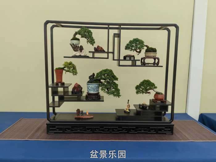 2025�����й��辰���龭��СƷչ��Ʒȫ�� 16