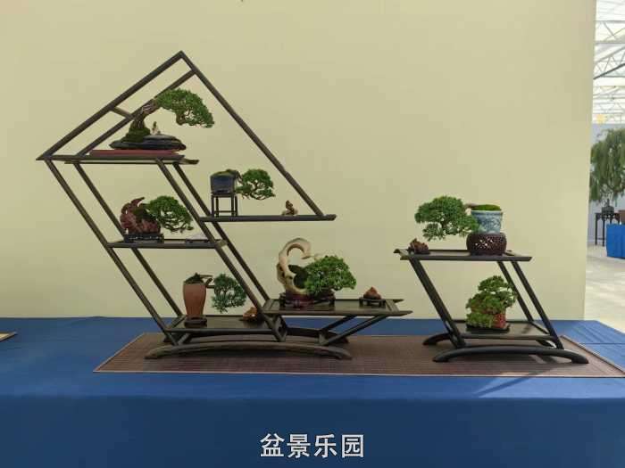 2025�����й��辰���龭��СƷչ��Ʒȫ�� 17